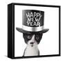 Funny Kitten Wearing a Happy New Year Hat-Hannamariah-Framed Stretched Canvas