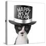 Funny Kitten Wearing a Happy New Year Hat-Hannamariah-Stretched Canvas