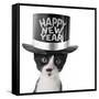 Funny Kitten Wearing a Happy New Year Hat-Hannamariah-Framed Stretched Canvas