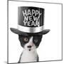 Funny Kitten Wearing a Happy New Year Hat-Hannamariah-Mounted Photographic Print