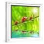 Funny Picture Of The Ladybugs Family Running On A Grass Bridge Over A Spring Flood-Kletr-Framed Photographic Print