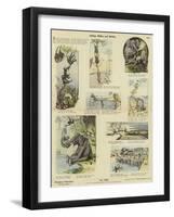 Funny Pictures from Africa-null-Framed Giclee Print