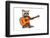 Funny Raccoon with Acoustic Guitar, Showing a Rock Gesture, Isolated on White Background-null-Framed Photographic Print