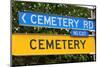 Funny Road Sign Hinting at Mortality-PomInOz-Mounted Photographic Print