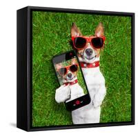 Funny Selfie Dog-Javier Brosch-Framed Stretched Canvas