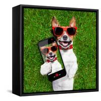 Funny Selfie Dog-Javier Brosch-Framed Stretched Canvas