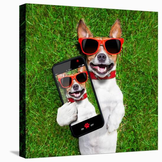 Funny Selfie Dog-Javier Brosch-Stretched Canvas