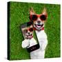 Funny Selfie Dog-Javier Brosch-Stretched Canvas