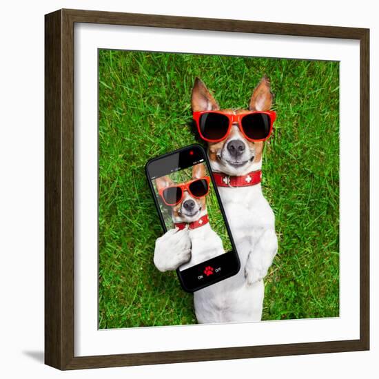 Funny Selfie Dog-Javier Brosch-Framed Photographic Print