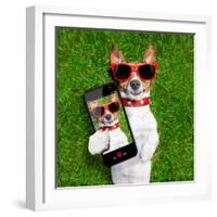 Funny Selfie Dog-Javier Brosch-Framed Photographic Print