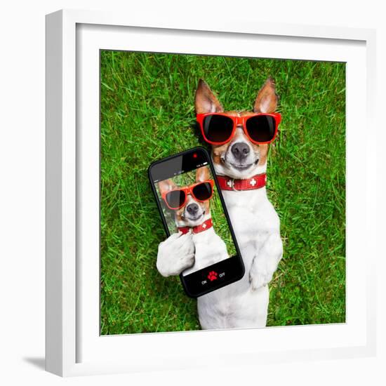 Funny Selfie Dog-Javier Brosch-Framed Photographic Print