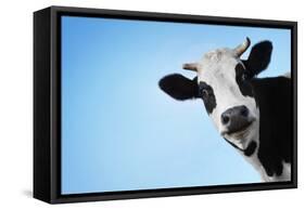 Funny Smiling Black And White Cow On Blue Clear Background-Dudarev Mikhail-Framed Stretched Canvas