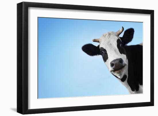 Funny Smiling Black And White Cow On Blue Clear Background-Dudarev Mikhail-Framed Photographic Print