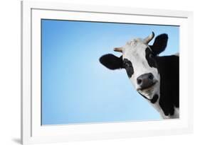 Funny Smiling Black And White Cow On Blue Clear Background-Dudarev Mikhail-Framed Photographic Print