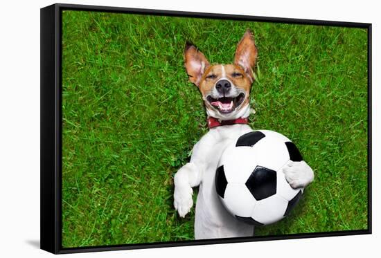 Funny Soccer Dog-Javier Brosch-Framed Stretched Canvas