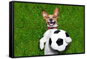 Funny Soccer Dog-Javier Brosch-Framed Stretched Canvas