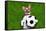 Funny Soccer Dog-Javier Brosch-Framed Stretched Canvas