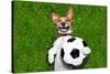 Funny Soccer Dog-Javier Brosch-Stretched Canvas