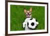 Funny Soccer Dog-Javier Brosch-Framed Photographic Print