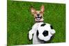 Funny Soccer Dog-Javier Brosch-Mounted Photographic Print