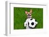 Funny Soccer Dog-Javier Brosch-Framed Photographic Print