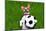 Funny Soccer Dog-Javier Brosch-Mounted Photographic Print