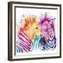 Funny Zebra T-Shirt Graphics, Rainbow Zebra Illustration with Splash Watercolor Textured Background-Faenkova Elena-Framed Premium Giclee Print