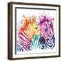 Funny Zebra T-Shirt Graphics, Rainbow Zebra Illustration with Splash Watercolor Textured Background-Faenkova Elena-Framed Art Print