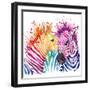 Funny Zebra T-Shirt Graphics, Rainbow Zebra Illustration with Splash Watercolor Textured Background-Faenkova Elena-Framed Art Print