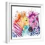 Funny Zebra T-Shirt Graphics, Rainbow Zebra Illustration with Splash Watercolor Textured Background-Faenkova Elena-Framed Art Print