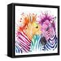 Funny Zebra T-Shirt Graphics, Rainbow Zebra Illustration with Splash Watercolor Textured Background-Faenkova Elena-Framed Stretched Canvas