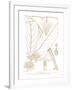 Funtumia Africana-Maria Mendez-Framed Giclee Print