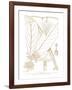 Funtumia Africana-Maria Mendez-Framed Giclee Print