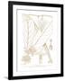 Funtumia Africana-Maria Mendez-Framed Giclee Print