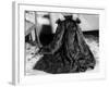 Fur Coat-null-Framed Photographic Print