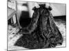 Fur Coat-null-Mounted Photographic Print