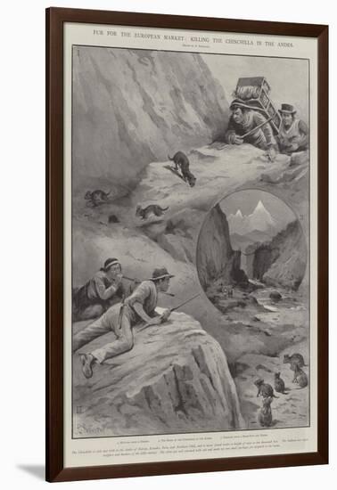 Fur for the European Market, Killing the Chinchilla in the Andes-Paul Frenzeny-Framed Giclee Print