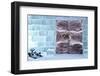 Fur Lined Doors to Ice Hotel in Northern Sweden-Sheila Haddad-Framed Photographic Print