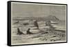 Fur Seal Rookery in the Pribylov Islands-null-Framed Stretched Canvas