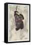 Fur-Trimmed Mantle, c.1913-Mela Koehler-Framed Stretched Canvas
