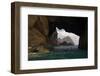 Furadinho Cave with View of Bugio Island, Deserta Grande, Desertas Islands, Madeira, Portugal-Sá-Framed Photographic Print