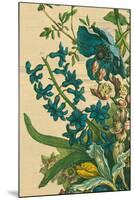 Furber Flowers I - Detail-Robert Furber-Mounted Giclee Print