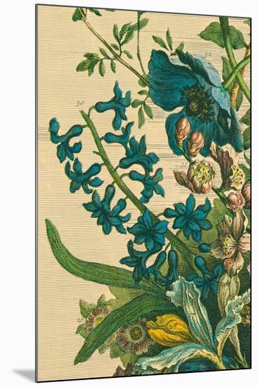 Furber Flowers I - Detail-Robert Furber-Mounted Giclee Print