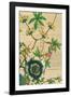 Furber Flowers II - Detail-Robert Furber-Framed Giclee Print