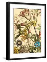 Furber Flowers III - Detail-Robert Furber-Framed Art Print