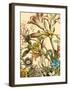 Furber Flowers III - Detail-Robert Furber-Framed Art Print