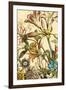 Furber Flowers III - Detail-Robert Furber-Framed Giclee Print