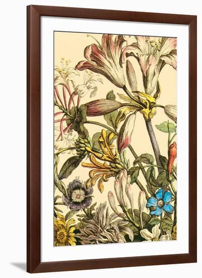 Furber Flowers III - Detail-Robert Furber-Framed Giclee Print