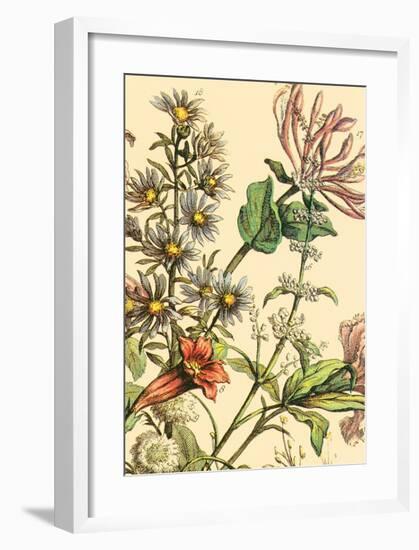 Furber Flowers IV - Detail-Robert Furber-Framed Art Print