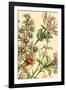 Furber Flowers IV - Detail-Robert Furber-Framed Giclee Print